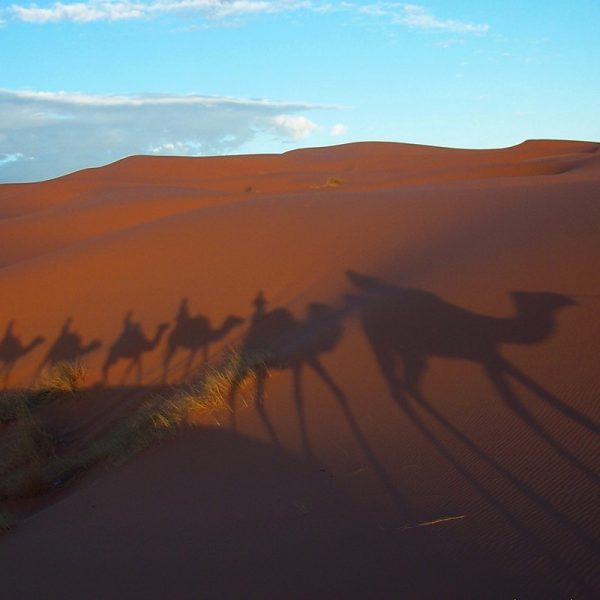 Morocco Merzouga Photo Louise Carey