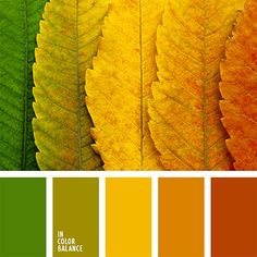 Example of a warm Summer palette. Photo pintrest