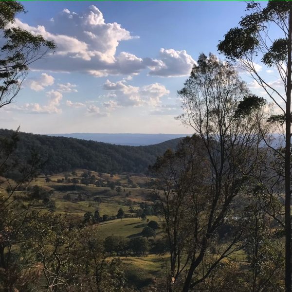 The far horizon, Tenterfield hinterland, NSW. Photo Linda Saul