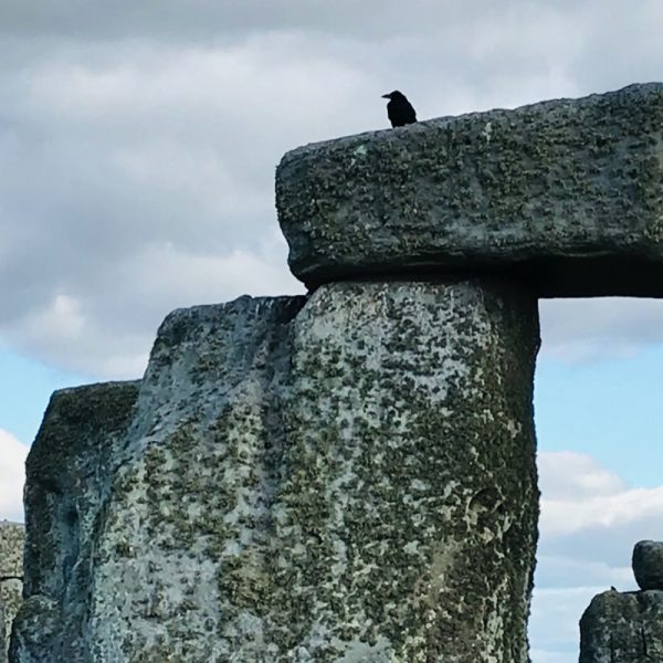 Stonehenge, Amesbury. England Photo Linda Saul