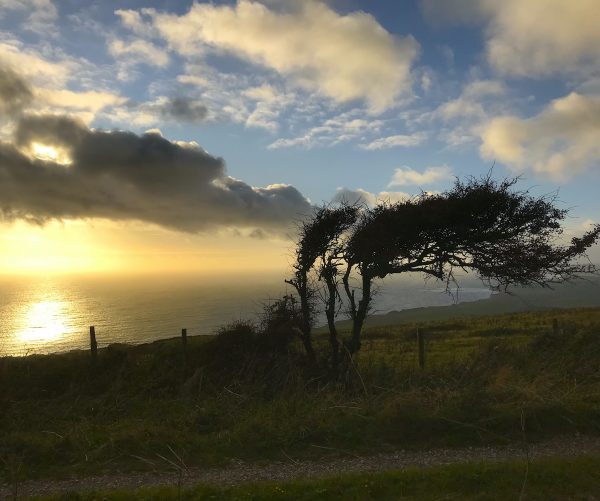 The colours of first light over the Pacific horizon. Photo by Linda Saul