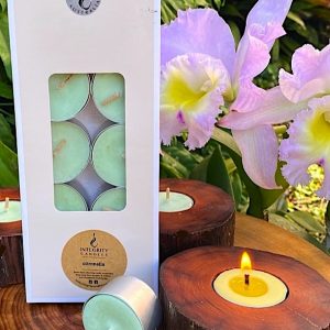 Citronella scented tea-light cups burn brightly for eight hours each. Presented in a 10 pack windowed gift-box.