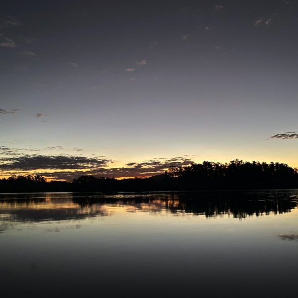 Morning calm on the Clarence River, NSW. Photo by Linda Saul