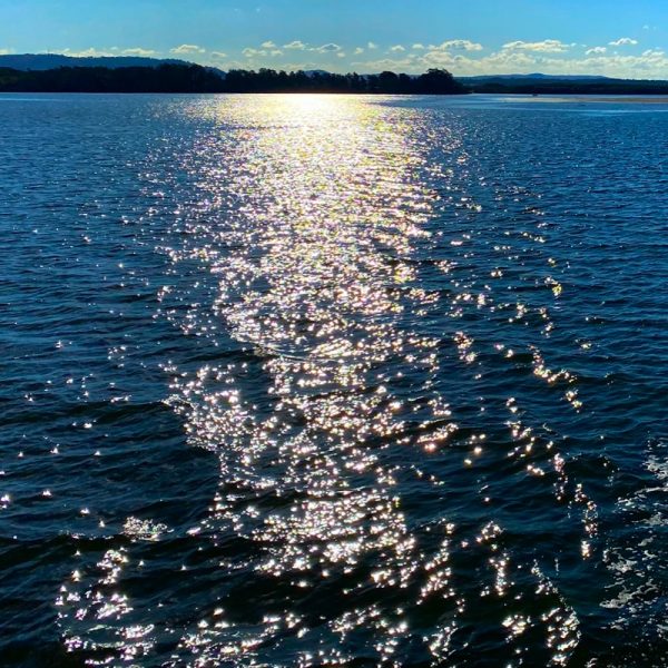 Clarance River morning, NSW. Photo by Linda Saul