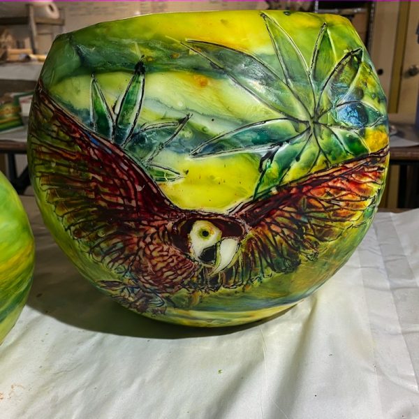 Custom Order - Macaw. Studio Photo by Linda Saul