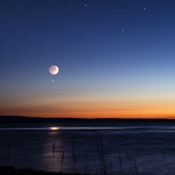 Venus - Photo by Chad Peltola on Unsplash