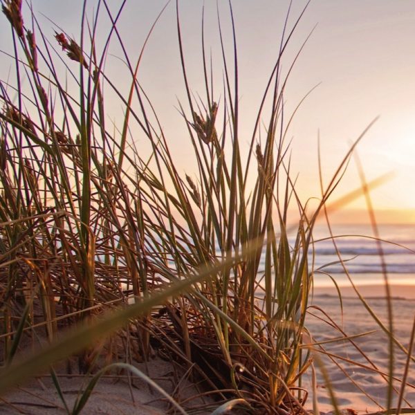 Sunrise at an Aussie beach.