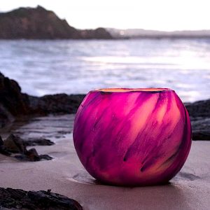Strikingly beautiful, this Venus Grand Cauldron was photographed on the shores of Byron Bay. Photo By Frank Gumley