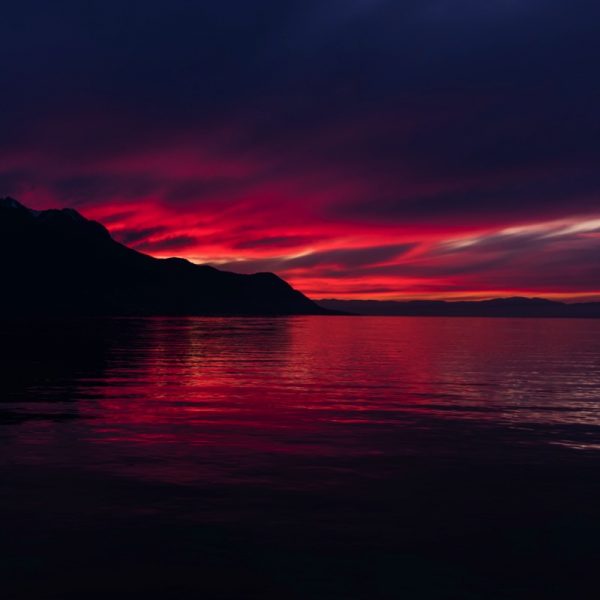 Vivid sunset colours. Photo by Artiom Vallaton Unsplash