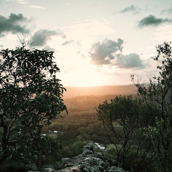 Subtle colours of the sun above the horizon. Photo by Lochlainn Riordan - Unslash